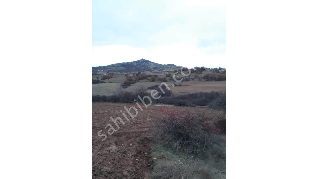 PINARHİSAR TOZAKLI'DA İMAR YANINDA KELEPİR FİYATA SATILIK ARAZİ