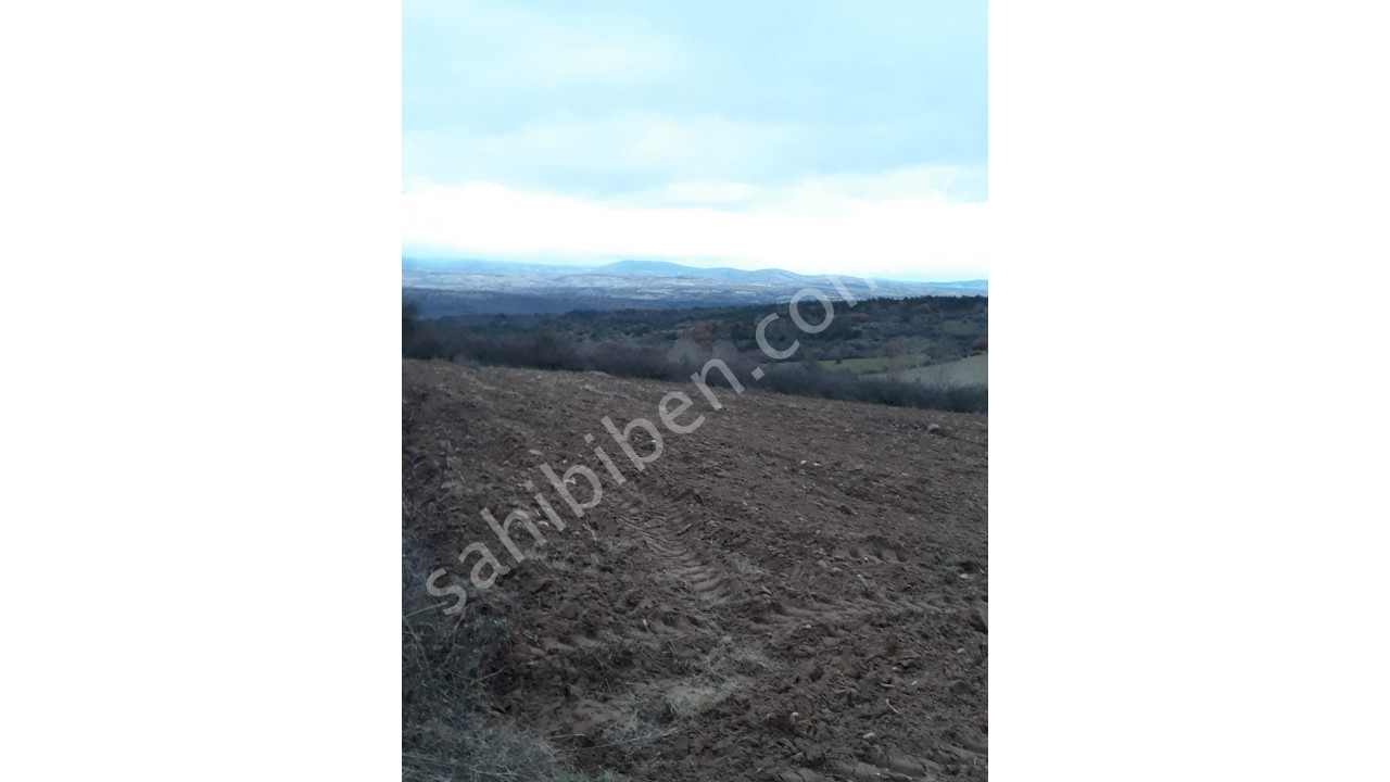 --İNECE-DOKUZHÖYÜK ARASINDA 1.080 M2 ASFALTA 3.PARSEL BAĞ YERİ--